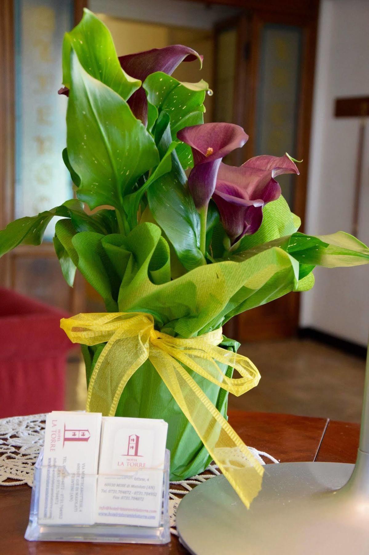 La Torre Hotel Moie מראה חיצוני תמונה